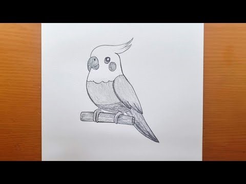 Very easy bird drawing tutorial, step-by-step instructions on how to draw a bird, for beginners