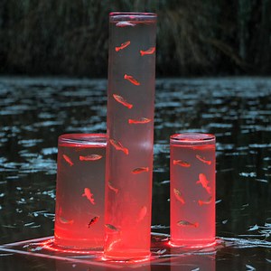 578K views · 1.7K reactions | Unusual DIY Aquarium and Pond Ideas! | 5-Minute Crafts Family | Facebook