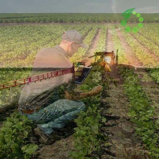 Soybean Solutions by Performance Nutrition