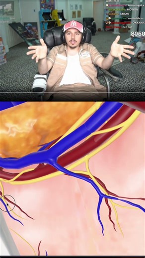 This website shows how the human body works in 3D