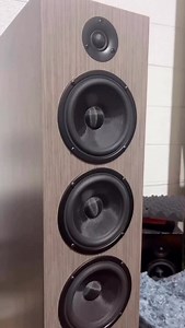 🔊 CSS Torii Tower P2 kit, also available as a sealed cabinet version (Torii Tower S4). Check out all kits at css-audio.com | Creative Sound Solutions