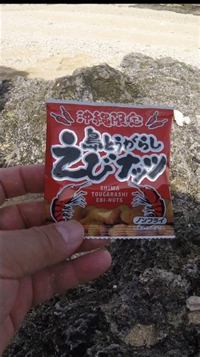 【うまい】お土産にもオススメ！宮古島のイオンに売ってる「島とうがらし えびナッツ」#宮古島 #宮古島グルメ #宮古島観光