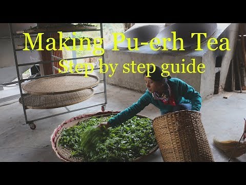 Pu-erh Tea Processing