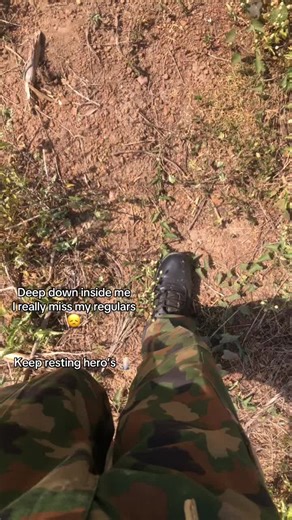 Remembering Our Heroes: A Tribute to Lost Regulars