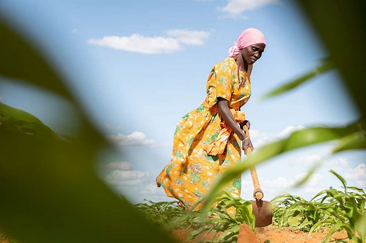 Global Hunger Index | The global hunger situation in figures