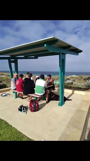 Chocolate Labrador's Toy Obsession!