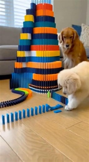 도미노 붕괴.. The Domino Tower Collapse
