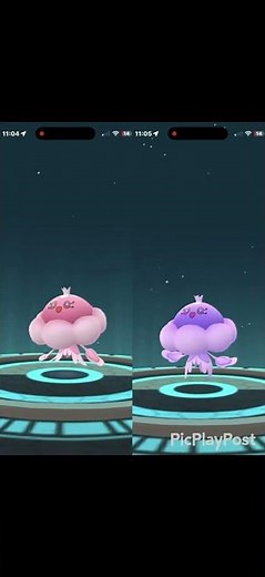 Frillish Shiny vs Non-Shiny Evolution Comparison! Male vs Female Jellicent Pokemon GO