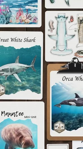 Let’s explore the science of the sea! 🌊🔬 The Ultimate Oceans Mega Bundle is packed with hands-on activities to help your learner understand how the ocean works.🧪 Learn about: 🌐 Ocean zones & layers 💦 The water cycle 🌀 Marine currents 🐚 Beach ecosystems & strandlinesPerfect for your science-loving student—and it’s all beautifully engaging! 💻 Over 80 ocean resources for just $25 through May 29! Link in comments. #homeschoolmom #homeschoolfamily #homeschool #homeschoollife #homeschoolingmom