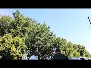 (Part Two) Gilchrist County First Amendment Audit