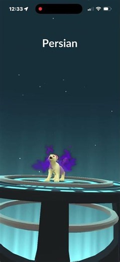 Evolving Shiny Shadow Meowth Into Shiny Shadow Persian In Pokémon Go