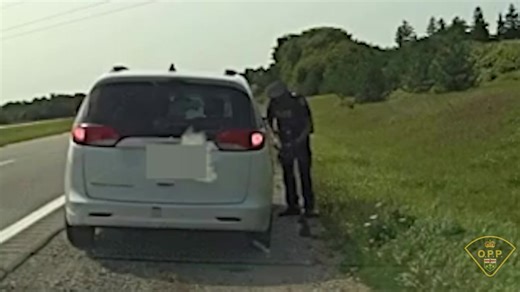 This kitten is in the care veterinarian services, after being discovered by a #CambridgeOPP officer on #Hwy7/8. The kitten emerged from the grass and sat at the officers feet. 🐈 ^ks | Ontario Provincial Police - Highway Safety Division