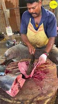 KASIMEDU SPEED SELVAM TUNA FISH 🐟 CUTTING VIDEO #kasimeduselvam #bigfish #shorts #youtube