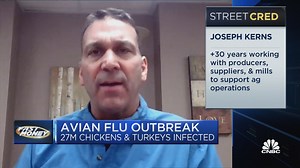 Bird flu + inflation is the perfect storm for increasing consumer prices, says top agriculture expert