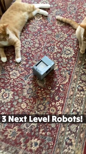 3 super cool robotic gadgets tested 👉 visit 𝐠𝐚𝐝𝐠𝐞𝐭𝐢𝐟𝐲.𝐜𝐨𝐦 for more cool gadgets and toys 🟡 #gadgets #toys #cooltech #technology #giftideas #awesome #gadgetify #robotic #robots | Daily Rad