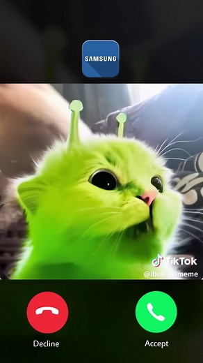 Alien Cat Funny Moments: Hilarious Kittens on Nokia Ringtone