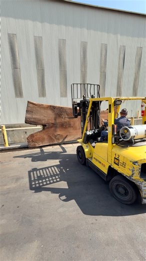 In 1972, Ray Winters moved to Battleground, WA, with his wife to start their family and farm, where they found a stunning Walnut tree towering over their property. Over 50 years, it became more than a landmark, but a cherished member of the family, witnessing generations grow. In 2020, as signs of its decline emerged, Ray entrusted GL Veneer to salvage and repurpose the tree, preserving its legacy and granting it a second remarkable life beyond its natural one. Visit GLveneer.com to own a piece 