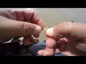 Metal Detecting in Cocoa Beach, Fl - Detección de metales en Cocoa Beach, Florida.