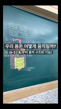 우리 몸은 어떻게 움직일까? | 초등 과학 전담교사의 과학 판서 | 6-2 / 4.우리 몸의 구조와 기능 핵심개념💪#동기유발#초등과학#6학년#우리몸의구조와기능#판서#body