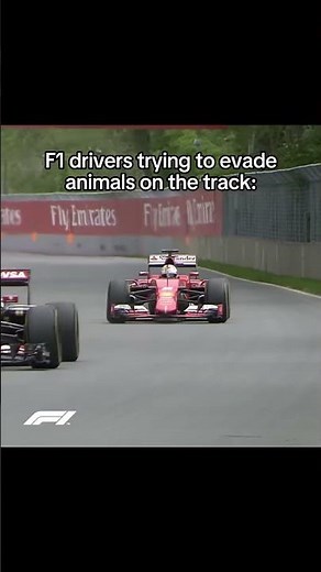 MotoGP vs F1: Same Situation, Different Outcome