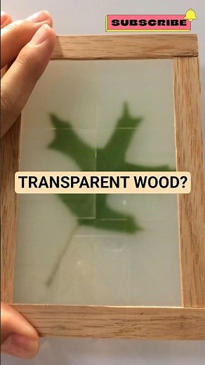 Scientists Made Wood Transparent and It’s Stronger Than Glass!
