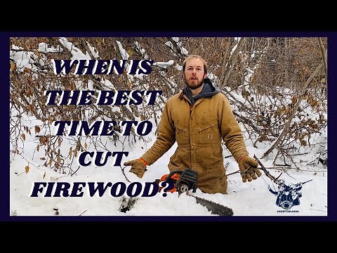 People Think We Are Crazy For Cutting Our Firewood In The Winter | This Is Why We Do It