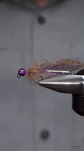 719K views · 998 reactions | "Fall is coming... and sometimes you...