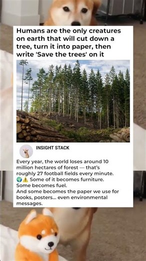 Cutting trees to save trees ? 🌲