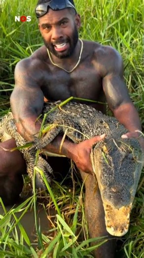 Onderzoek naar influencer die worstelt met krokodillen