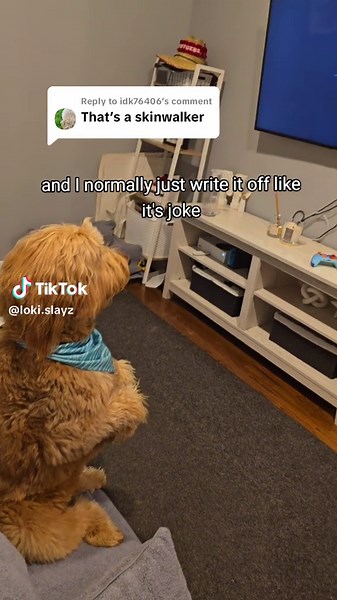 Understanding Skinwalker Behavior in Dogs: Signs to Watch Out For