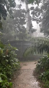 A Powerful Thunderstorm with Heavy Rain and Roaring Thunder Creating a Deep, Intense Weather Mood #Thunderstorm #HeavyRain #StormyWeather #RainyMood #DarkClouds #ThunderAndRain #ExtremeWeather #RainStorm #WeatherVibes #MoodyWeather #StormMood #RainSounds #CloudySky #WildWeather #NatureWeather #WeatherLovers #RainyDay #StormChasing #WeatherAtmosphere | Relax2.o