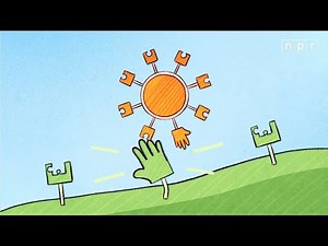 Visual Explainer: Why Some Coronavirus Variants Are More Contagious Than Others