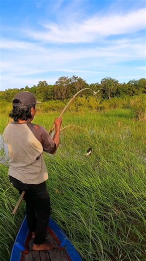 Fishing tutorial at the snakehead nest #viral #fishing #super-snakehead #trending #fish