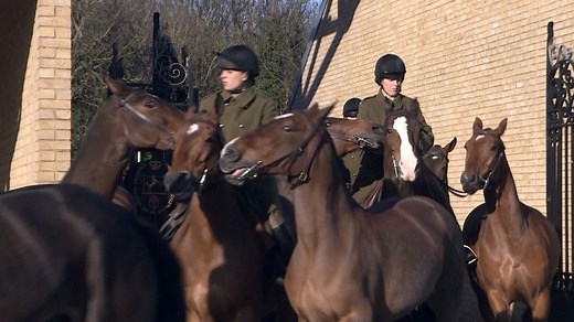 Meet the women of the Royal Horse Artillery