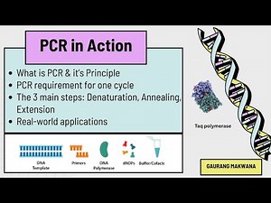 🧬Mastering PCR: Everything You Need to Know (Principle, Process, & Applications)