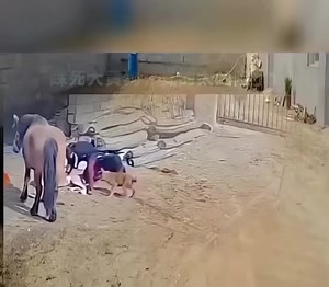 😱😱😱😱😱 | Full Time Masti