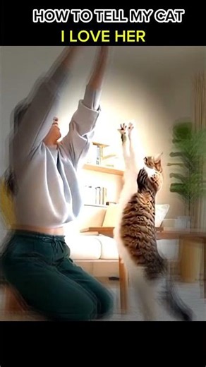 How To Tell My Cat I Love You Her 🤡❤#shorts#trending