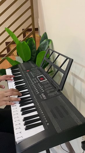 Beginner's Guide to Electronic Piano: 61 Keys Keyboard Sound Test
