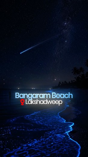 India's Glowing Beaches: 4 Magical Places to Witness Bioluminescence