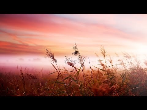Relaxing Piano Music: Sleep Music, Relaxing Music, Soft Sleeping Music, Fall Asleep ★129