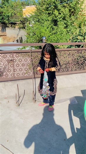 Banji Mama Di: A Fun Cultural Insight