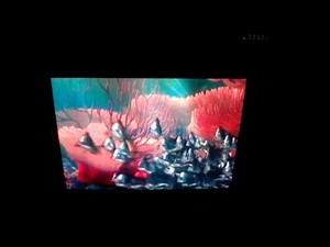 Opening To Finding Nemo 2003 DVD (Disc 1)