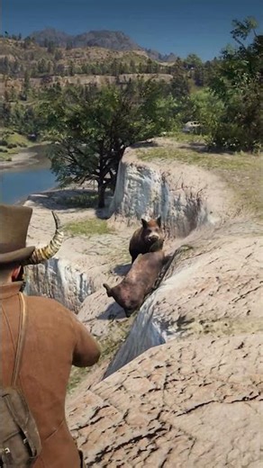 Survival Skill in Red Dead Redemption 2 P1271 #rdr2 #gaming #shorts