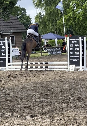 Wir haben das erste Tunier zusammen überstanden. Mit einer 7,0 haben wir das Springen beendet. Ich bin sehr stolz auf ihn. Danke fürs Filmen @Hannah #fyp #fyyyy #fyyyyyyyyyyyyyyyy #fyppppppppppppppppppppppp #springreiten😂🚀🐴🔥 #casco #springpferd #fyyyyyyyyyyyyyyyyyyyyyyyyyyyyyyyyyy #fy #springreitenaufdie1 #✈️✈️ #springreiten