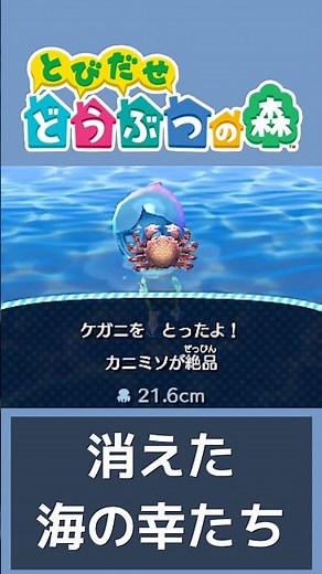 あつ森で消えた海の幸たち【とびだせどうぶつの森】