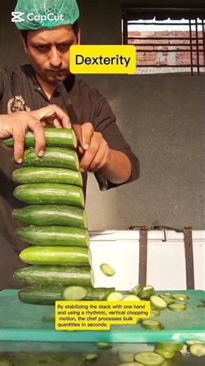 Safety Protocols for Advanced Multi-Layer Vegetable Slicing