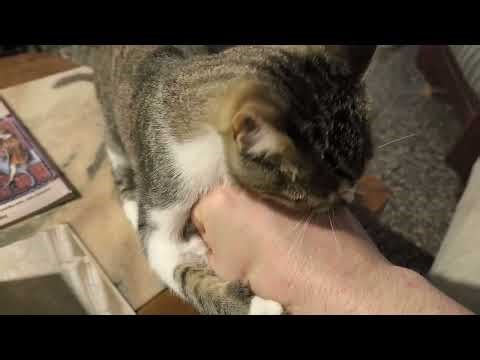 An OSR Adventure with Galileo and a Thriller Chase!