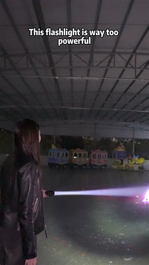 Unleash Power with the Wild Beast Flashlight