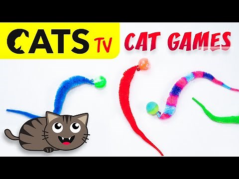 GAME FOR CATS 😻 Ball worms toys 🪱🙀 3D Sound 🎶🔔 [CATS TV]