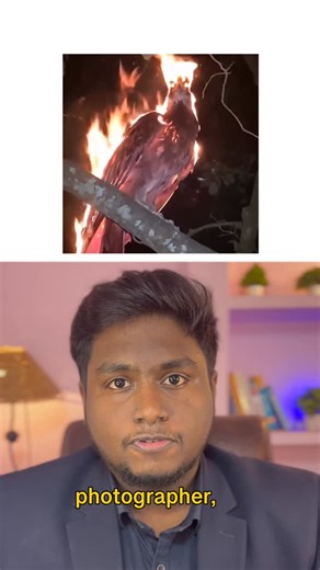 Ajay Rajendran on Instagram: "This burning bird looks real. But it’s fake. If visuals can fool us this easily, imagine real life, where words, stories, and people can fool you too. Don’t trust anything blindly. Think, Observe & Verify [tamil motivational quotes, life lesson, tamil motivational video, motivation, mindset, goals, growth, success, achieve, win, tamil motivation] #tamilmotivationalquotes #lifelessons #tamilmotivation #motivation #tamil"